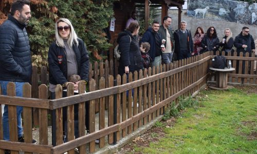 DSC_0306-scaled